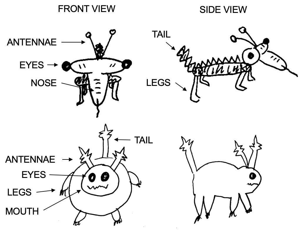 @smith1993constraining showed their participants examples similar to these. *Drawings by Michael Barlev and Annie Ditta.*