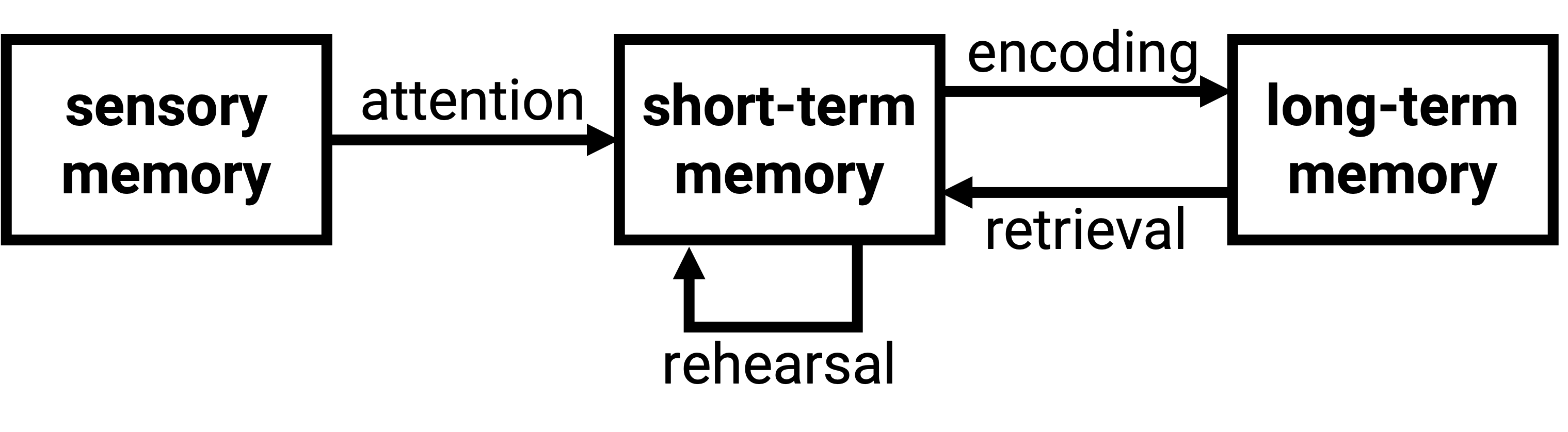 Atkinson and Shiffrin’s Modal Model of Memory.