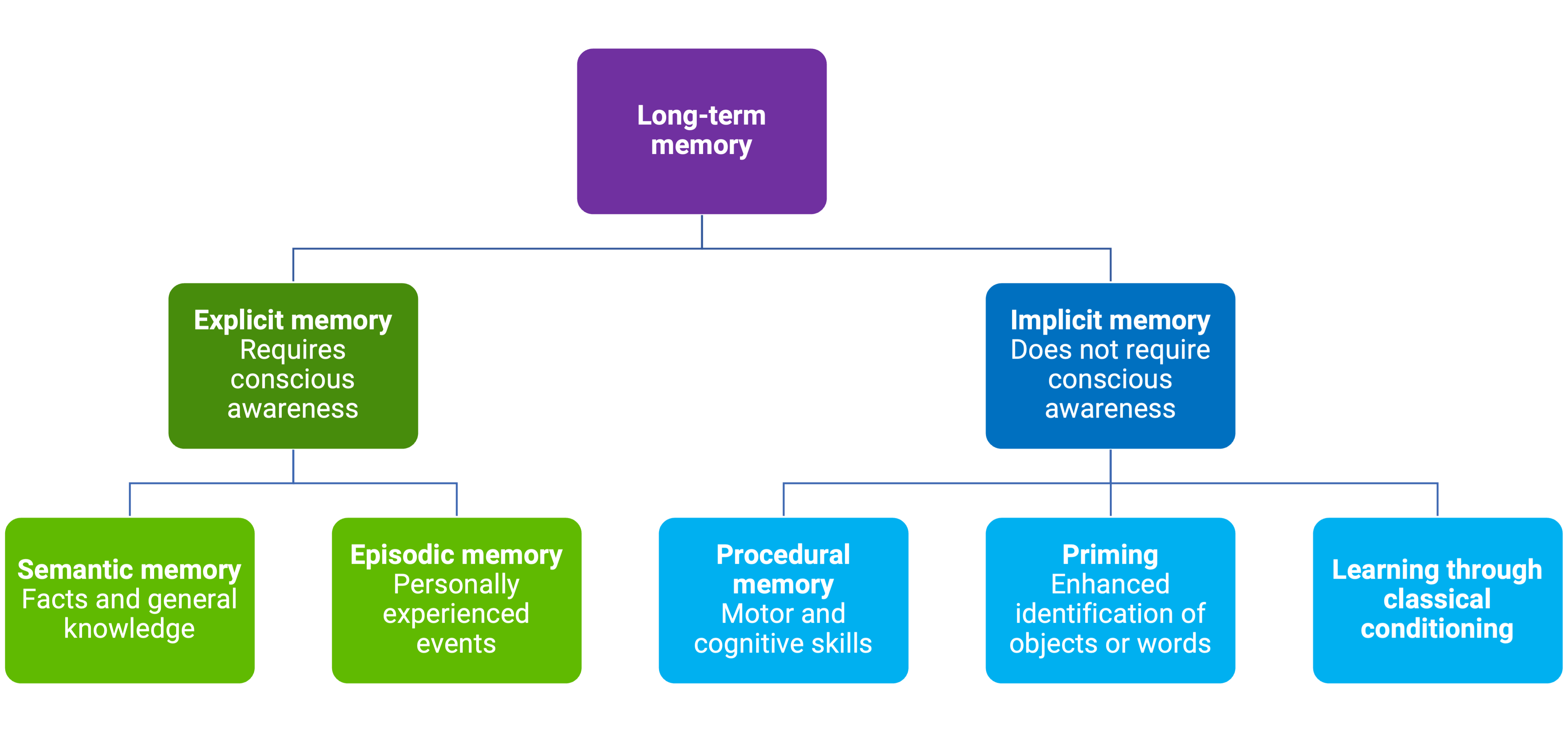 Structure of long-term memory.