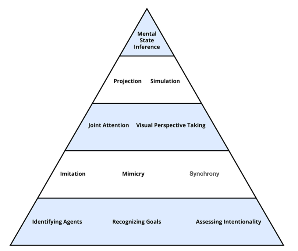 Some of the major tools of theory of mind, with the bottom showing simple, automatic, early developing processes, and the top showing complex, more deliberate, late developing processes. 